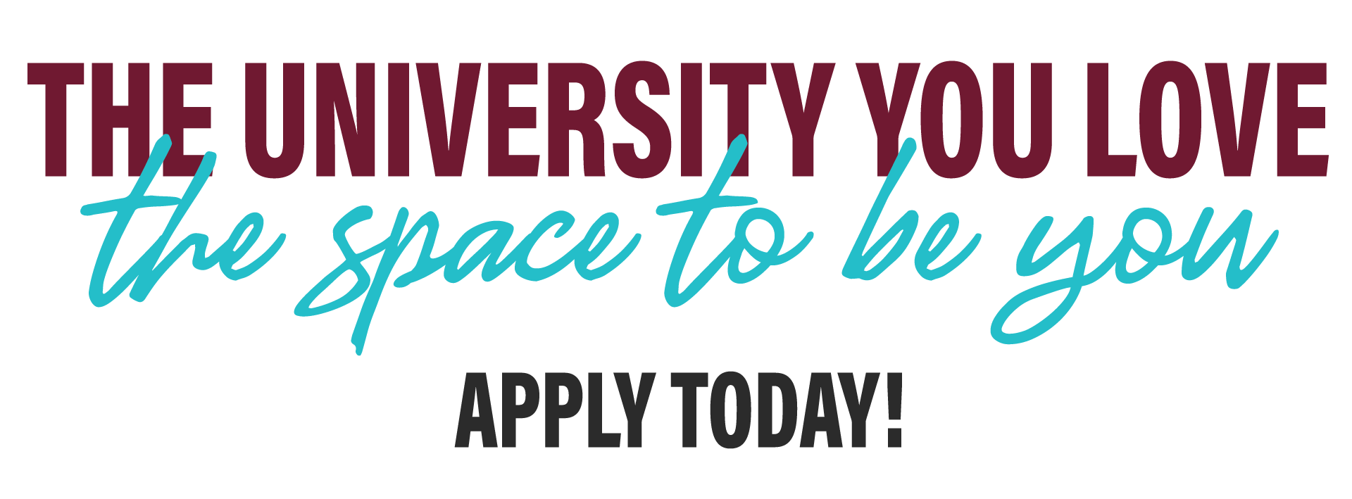 "The university you love graphic"