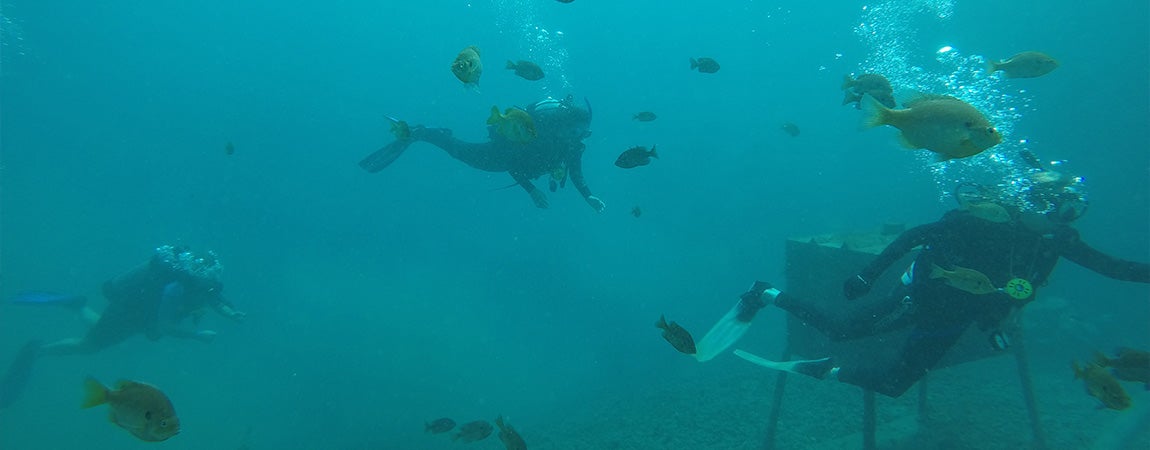 students representing the FSUPC promise